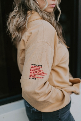 Picture of We The People Hoodie