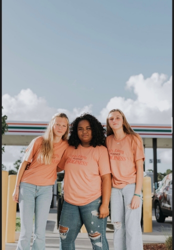 Picture of Pursuit of Holiness